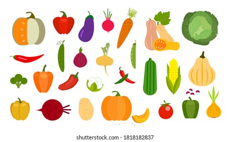 Iconos de verduras vectoriales ajustados al estilo de las caricaturas. Producto de granja de recogida para menú de restaurante, etiqueta de mercado.