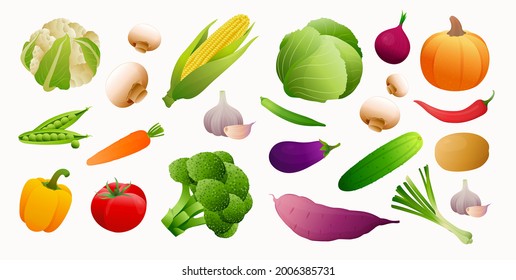 Vector vegetables icons set in cartoon style. Collection farm product for restaurant menu, market label.