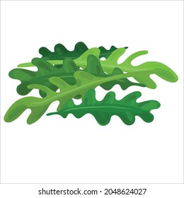 Iconos de verduras vectoriales ajustados al estilo de las caricaturas.