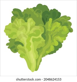 Iconos de verduras vectoriales ajustados al estilo de las caricaturas.