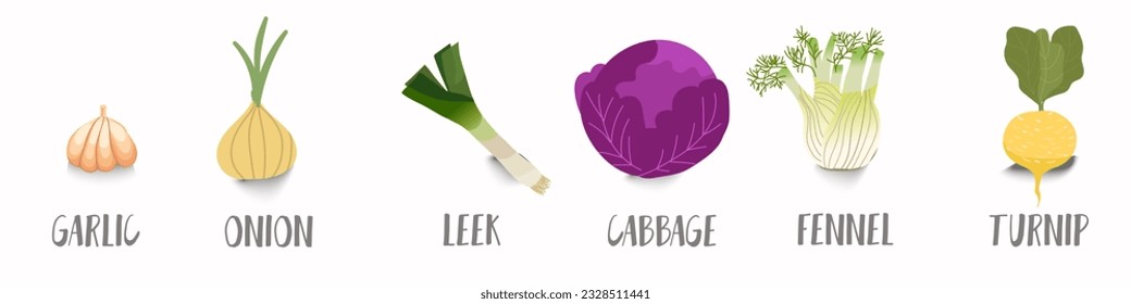 Vector vegetables icons set in cartoon style. Collection farm product for restaurant menu, market label.