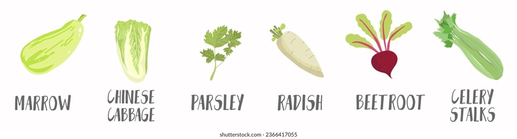 Vector vegetables icons set in cartoon style. Collection farm product for restaurant menu, market label.
