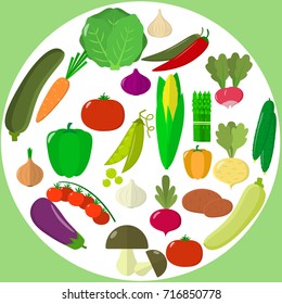 Vector vegetables icons set in cartoon style. Collection farm product for restaurant menu, market label. Flat design.