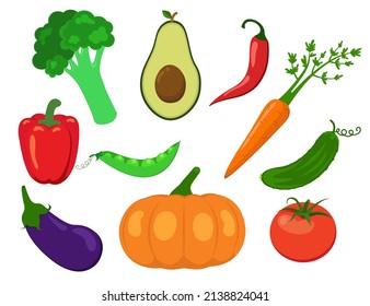 Ilustraciones de verduras vectoriales sobre fondo blanco: calabaza, tomate, pepino, aguacate, brócoli, berenjena, zanahoria, chile, frijol verde y pimienta.