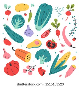 Vector vegetables isolated on white background in trendy hand drawn doodle flat style. Sketch vector illustration of colored food drawings isolated for cooking book, menu, packaging.