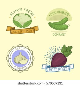 Vector vegetables label template icon.