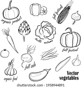 Vector vegetables, outline. Summer and autumn season. Perfect for autumn decorative designs, Thanksgiving and Halloween invitations, harvest.