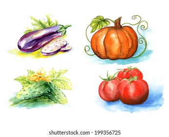 Vector vegetables, painting on white isolated background. Seth bright, juicy, mouth-watering vegetables. Easily edited.