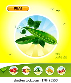 Vector vegetables. Peas