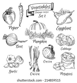 Vector vegetables set 2, pumpkin, potatoes, onions, garlic, eggplant, cabbage, peppers, beets, garlic