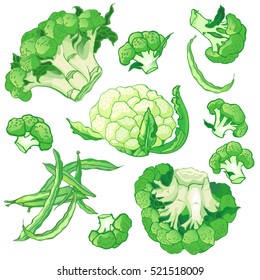 Vector vegetables set with broccoli and cauliflower