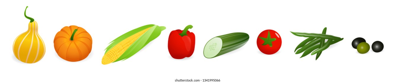 Vector vegetables set isolated on white background. Healthy organic food like corn, pumpkin, red bell pepper, olives, useful at any packaging design template 