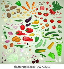 Vector vegetables set, raw vegetarian food collection, graphic designer's friend edition