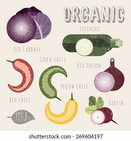 Vector vegetables set in vintage style