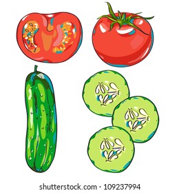 Vector vegetables - tomato and cucumber in hand drawn style. Realistic looking vegetarian food illustration