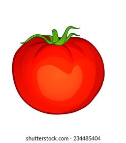 Vector vegetables: tomato isolated on white  