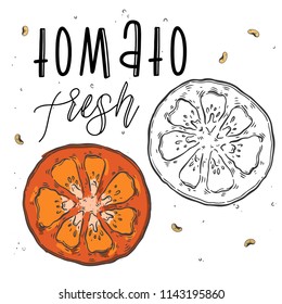 Vector vegetables tomato in a realistic sketch style. Healthy food, natural product, vegetable farm, vegan food, sports nutrition. Vintage illustration. Color and black line. Text
