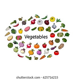 Vector vegetables and word. Vegetarianism.