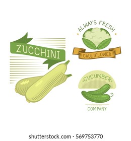 Vector vegetables zucchini and other label template icon.