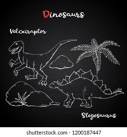 Vector Velociraptor and  Stegosaurus on chalk blackboard,with leaves and stones.Hand draw wild animals dinosaurus.Ancient creatures