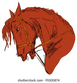 Vector version. Black horse silhouette isolated on white for design.