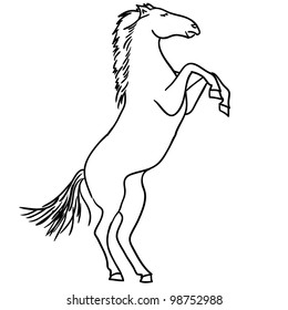 Vector version. Black horse silhouette isolated on white for design.