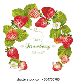 Vector Realistic Illustration Strawberry Leaves Flowers Stock Vector ...