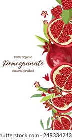 Vector vertical banner with pomegranate fruits on white background. Design for cosmetics, spa, pomegranate juice, health care products, perfume. 
