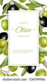 Vector vertical banner with ripe black and green olives on white background. Design for olive oil, natural cosmetics, health care products. With place for text.