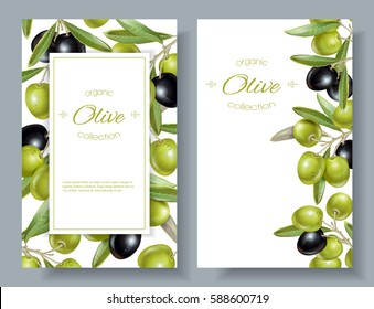 Vector vertical banners with ripe black and green olives on white background. Design for olive oil, olive packaging, natural cosmetics, health care products. With place for text