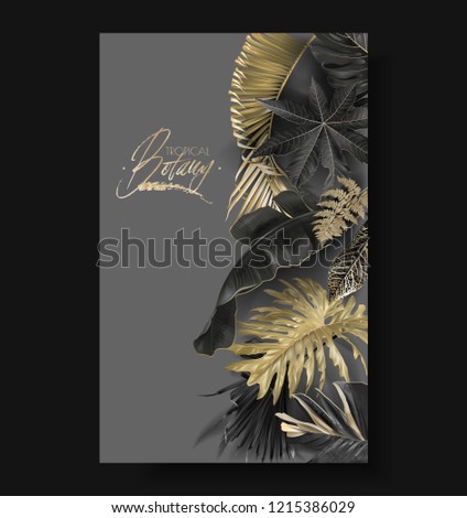 vector vertical border black