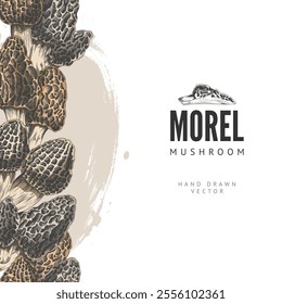 Vector vertical border in the style of a hand-drawn colored sketch with morel mushrooms. Organic elements of seasonal natural delicacies in culinary projects.