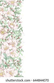 Vector vertical botanical banner with hand-drawn flowers in pastel light colors on white background. Can be used as background, card, invitation or cover for natural cosmetics and health care products