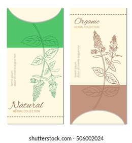 Vector vertical card, banner with hand drawn mint branch, leaf and flower isolated on white, spicy herb, Doodle cooking ingredient, peppermint illustration for natural cosmetic, herbal tea, packaging