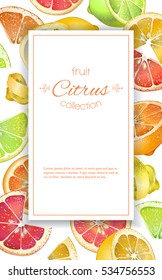 Vector vertical frame with bright colorful citrus fruits on white background. Design for sweets and pastries filled with citrus,dessert menu, natural cosmetics,health care products.With place for text