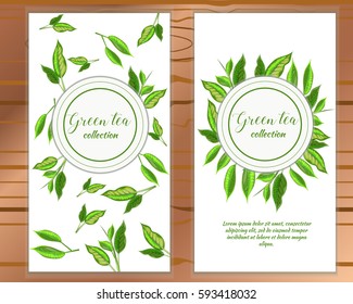Vector vertical green tea banners with hand drawn tea leaves on white background. Design for packaging, tea shop, drink menu, homeopathy and health care products.