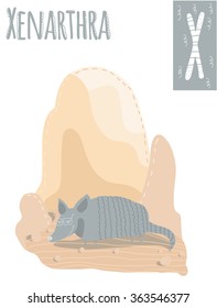 Vector vertical illustration of xenarthra on a colorful desert background. Capital letter X. Cute stylish animal alphabet, perfect for educational materials