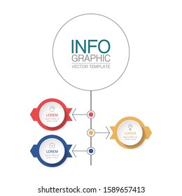 Vector vertical infographic diagram, template for business, presentations, web design, 3 options.