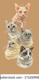 Vector vertical poster with different cats breeds portraits isolated on beige background. Cats vector vintage illustration in realistic style.Image for design, cards and tattoo. Stock  illustration 