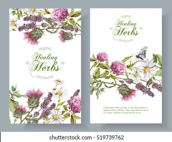 Vector vertical wild flowers and herbs banners. Design for herbal tea, natural cosmetics, honey, health care products, homeopathy, aromatherapy. With place for text