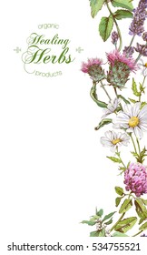 Vector vertical wild flowers and herbs banner. Design for herbal tea, natural cosmetics, health care products, homeopathy. With place for text.