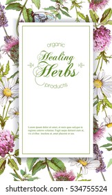 Vector vertical wild flowers and herbs banner. Design for herbal tea, natural cosmetics, health care products, homeopathy. With place for text.