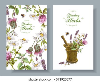 Vector vertical wild flowers and herbs banners with mortar. Design for herbal tea, natural cosmetics, perfume, health care products, homeopathy, aromatherapy. With place for text