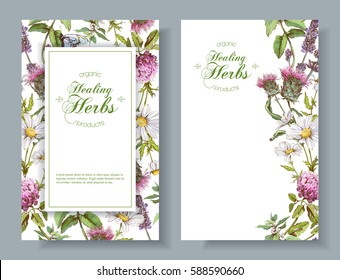 Vector vertical wild flowers and herbs banners. Design for herbal tea, natural cosmetics, perfume, health care products, aromatherapy. Can be used as boho style wedding invitation. With place for text