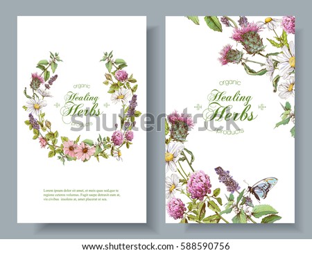 Vector vertical wild flowers and herbs banners. Design for herbal tea, natural cosmetics, perfume, health care products, aromatherapy. Can be used as boho style wedding invitation. With place for text