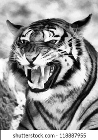 Vector of a Very Angry Growling Tiger (Black and White)