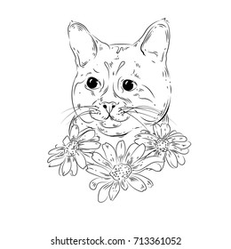 Vector very detailed cute cat face with isolated daisies on white background