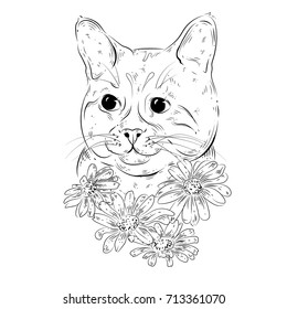 Vector Very Detailed Cute Cat Face Stock Vector (Royalty Free ...