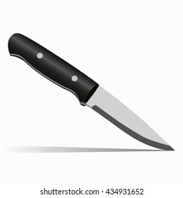 Vector, very realistic kitchen knife with a black handle