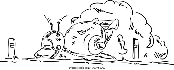 vector -  very speed snail  isolated on background